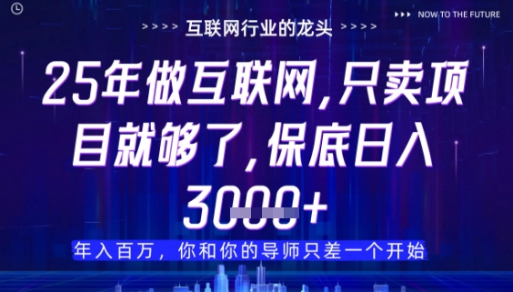 什么！25年你还在找项目做？风口早就变了，卖项目才是稳挣不赔【揭秘】-生财有术官方网站
