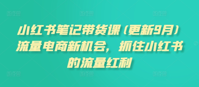 小红书笔记带货课(更新25年4月)流量电商新机会，抓住小红书的流量红利-生财有术官方网站