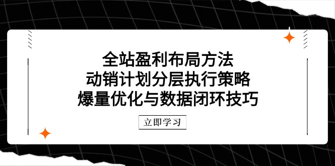 全站盈利布局方法：动销计划分层执行策略，爆量优化与数据闭环技巧-生财有术官方网站