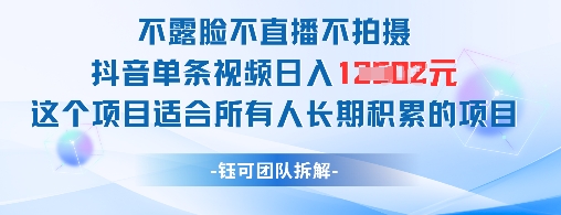 不露脸不直播不拍摄抖音单条视频日入1k+这个项目适合所有人长期积累的项目-生财有术官方网站