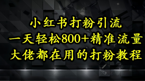 小红书打粉引流，一天轻松500+精准流量，大佬都在用的打粉教程-生财有术官方网站