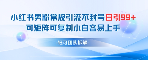小红书男粉常规引流不封号日引99+变现简单 可矩阵可复制小白容易上手-生财有术官方网站