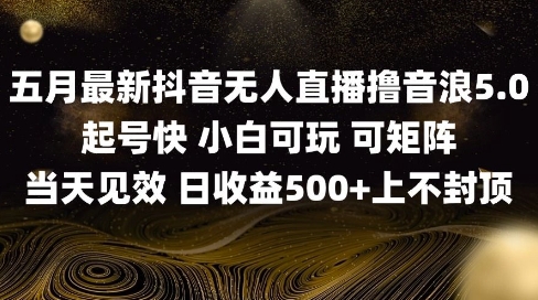 2025五月最新无人直播撸音浪单日产出5张+实操教程【揭秘】-生财有术官方网站