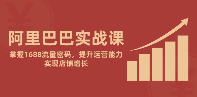 阿里巴巴实战课：掌握1688流量密码，提升运营能力，实现店铺增长-生财有术官方网站